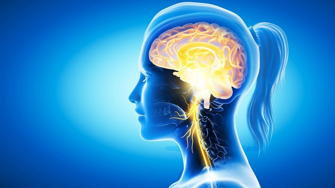 Was ist der Vagusnerv und welche Aufgabe hat er? Was ist der Vagusnerv und welche Aufgabe hat er?