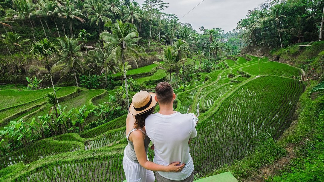 Impfung gegen Japanische Enzephalitis Impfung gegen Japanische Enzephalitis