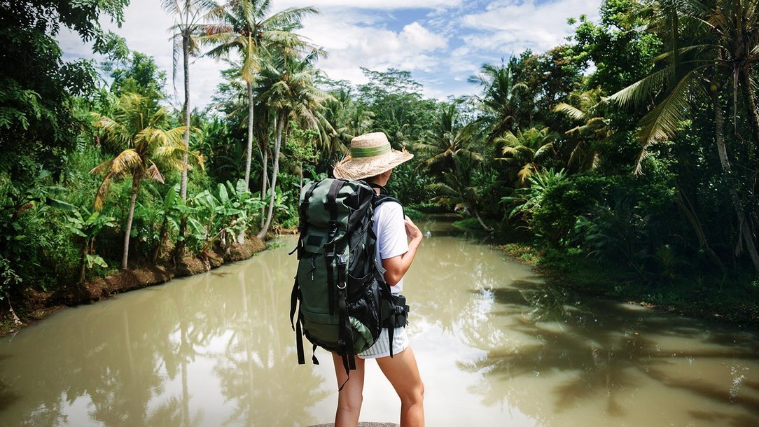 Impfung gegen Gelbfieber Impfung gegen Gelbfieber