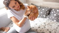 Toxoplasmose in der Schwangerschaft: So beugen Sie vor