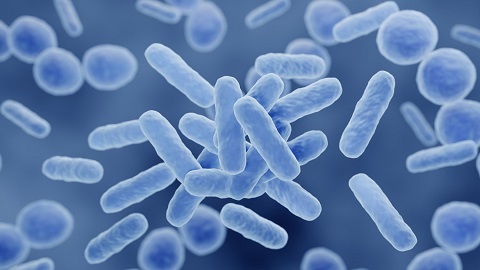 Mikrobiom